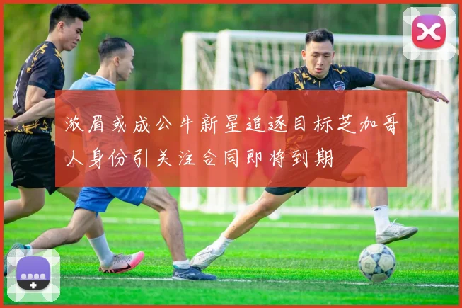浓眉或成公牛新星追逐目标芝加哥人身份引关注合同即将到期